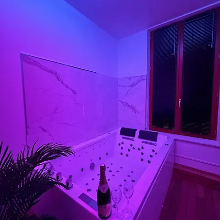Secret Des Bulles Et Champagne Apartment Troyes